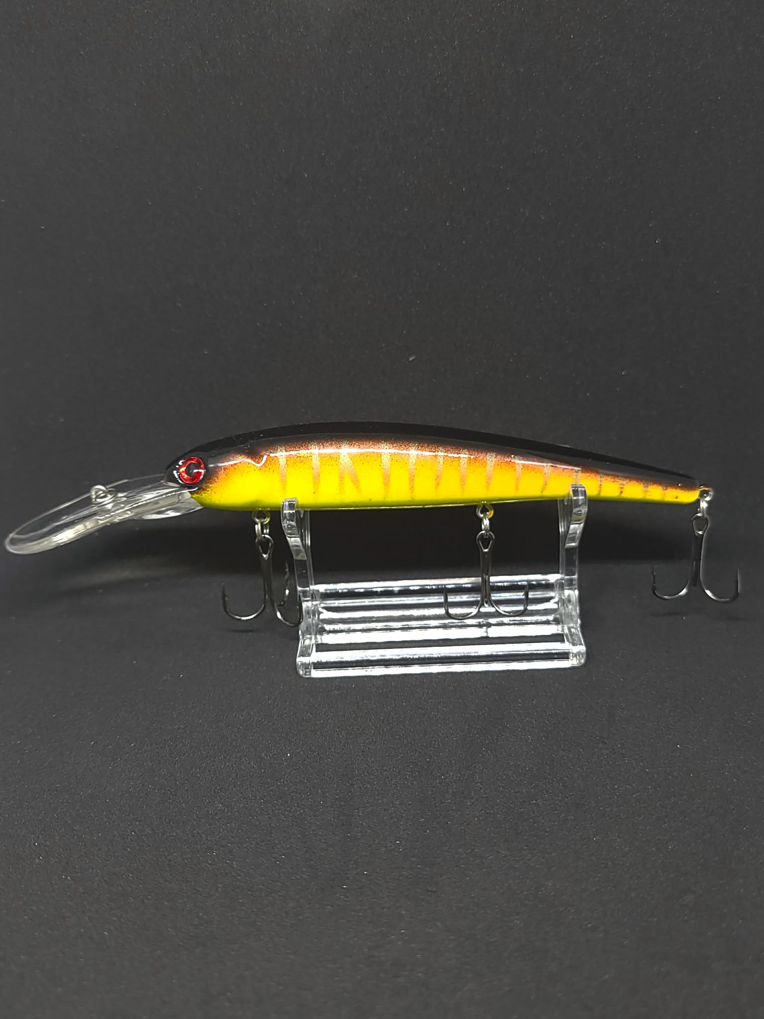 Walleye diver
