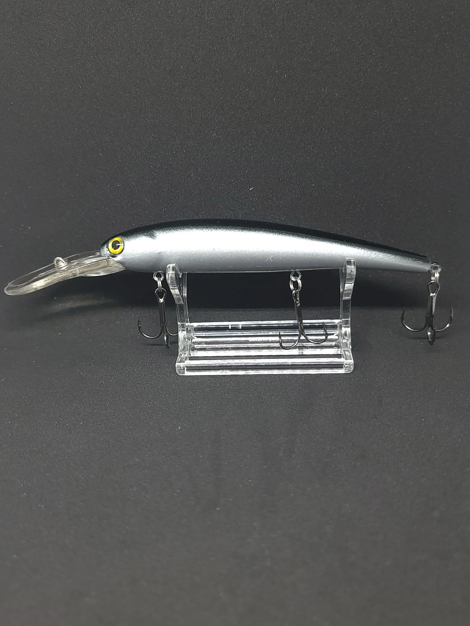 Walleye diver