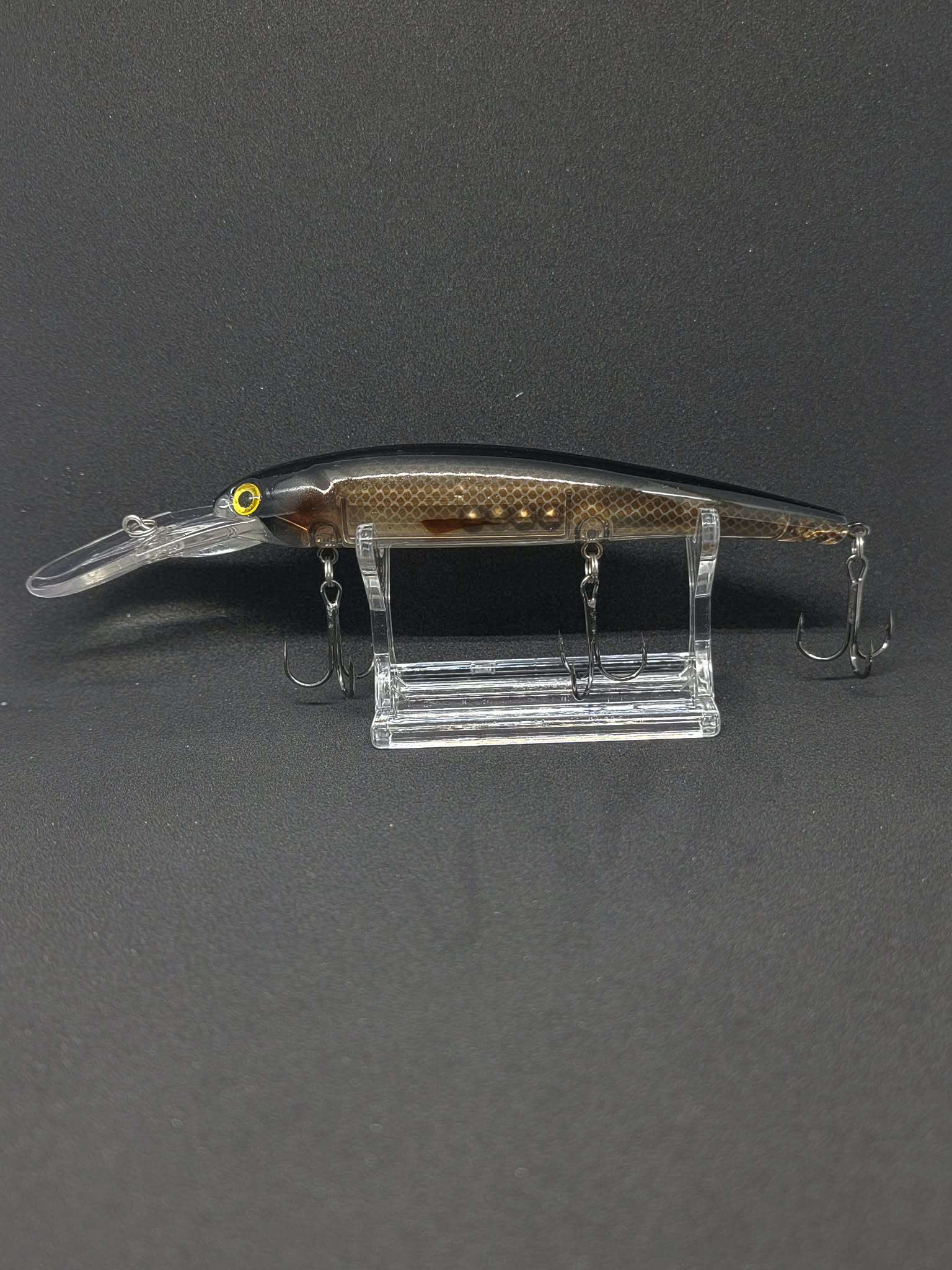 Walleye diver