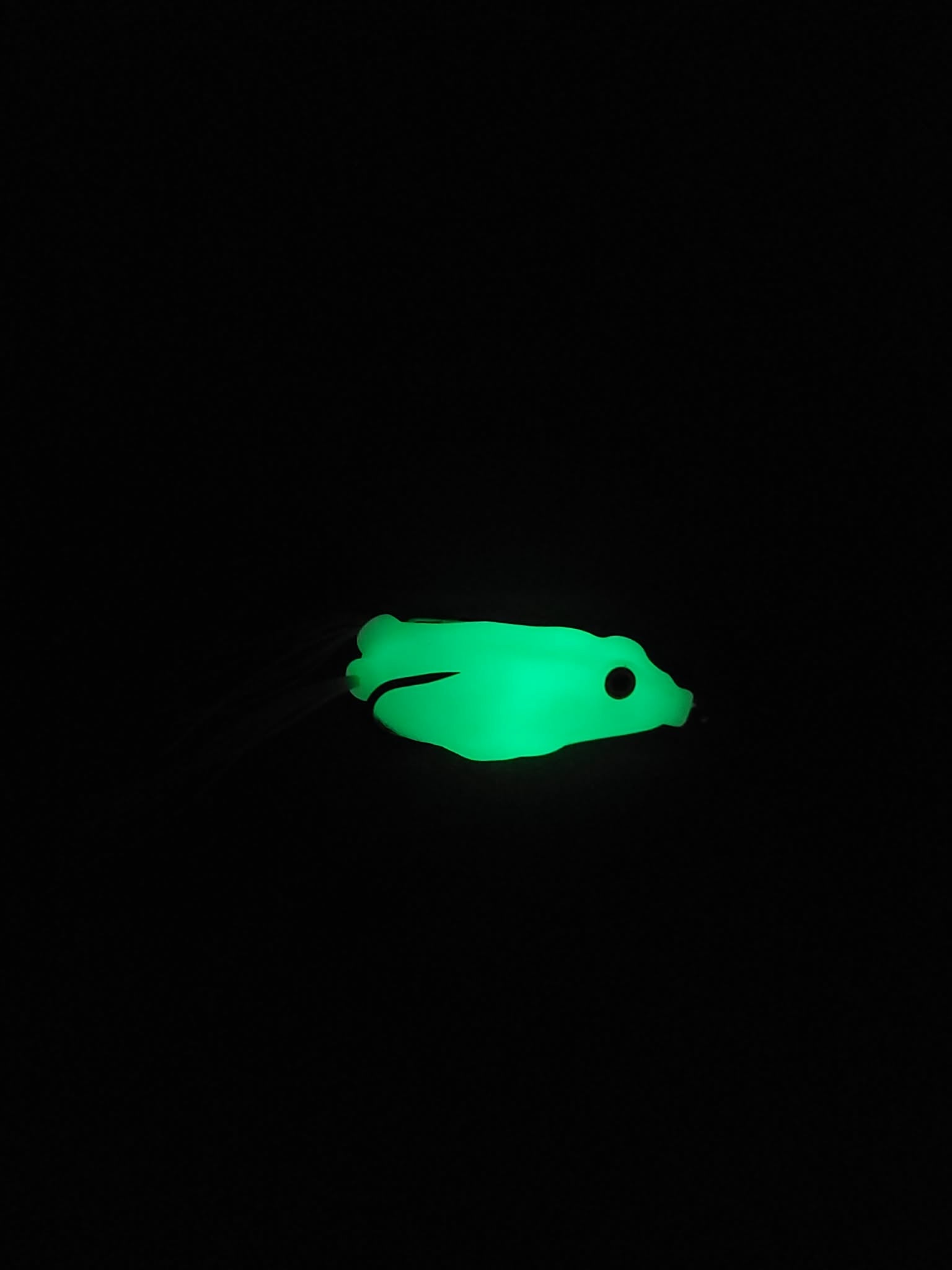 Glow in the dark frog